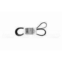 Pubert 0306030002 Ремень привода для ECO, ELITE, PRIMO (с реверсом) 5718 в Новосибирске