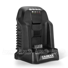 Зарядное устройство для газонокосилки Caiman Nero в Новосибирске