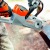 Аккумуляторная пила Stihl MSA 140 C-BQ SET-12 в Новосибирске