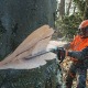 Бензопила Stihl MS 661-28&quot; в Новосибирске
